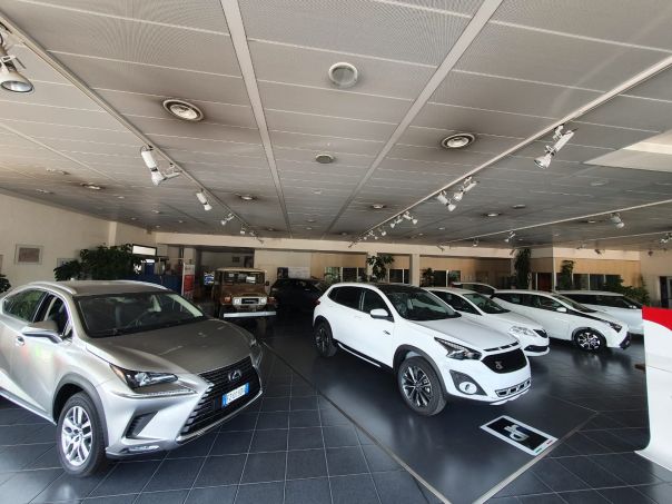 Ribauto 2 Concessionario Multimarche Savigliano e Alba