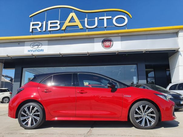 Ribauto 2 Concessionario Multimarche Savigliano e Alba